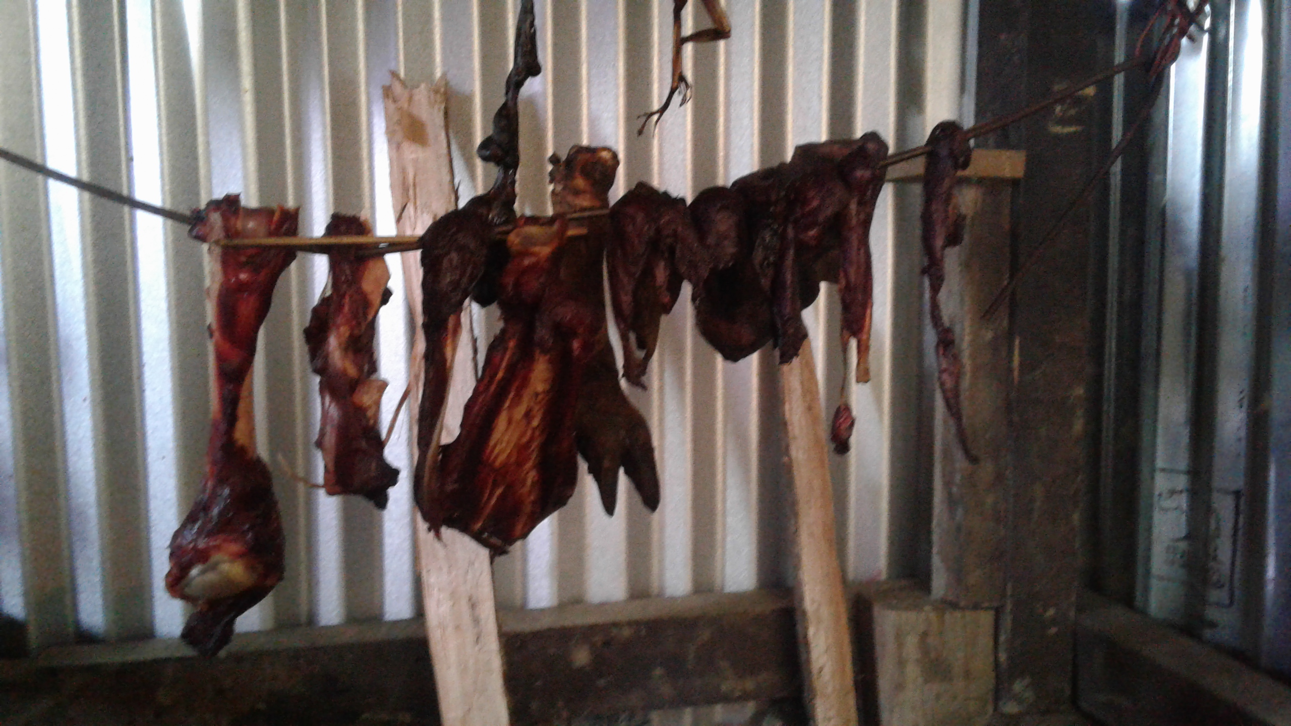 薪の火の上で野生動物の猪肉を燻製させている