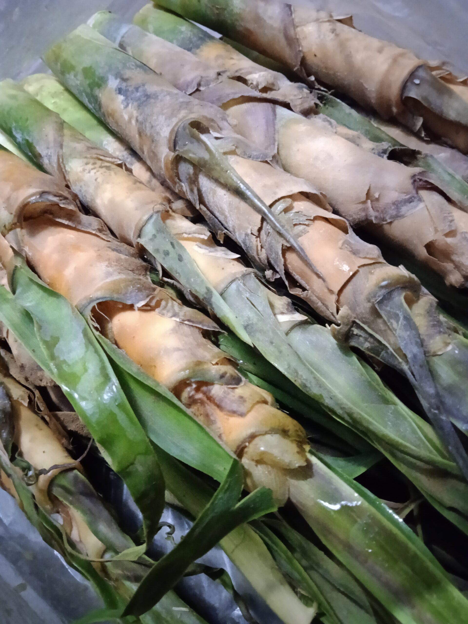 下処理前のたけのこ